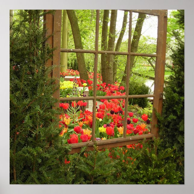 Impresión de la ventana de Tulip (Frente)