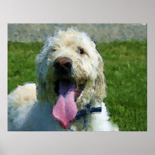 Impresión de Labradoodle