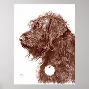 Impresión de Labradoodle del chocolate