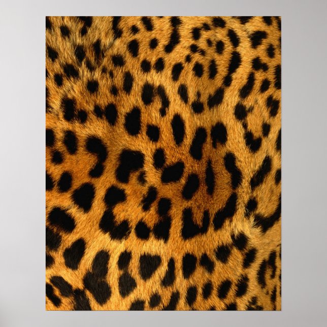 Impresión de leopardo (Frente)