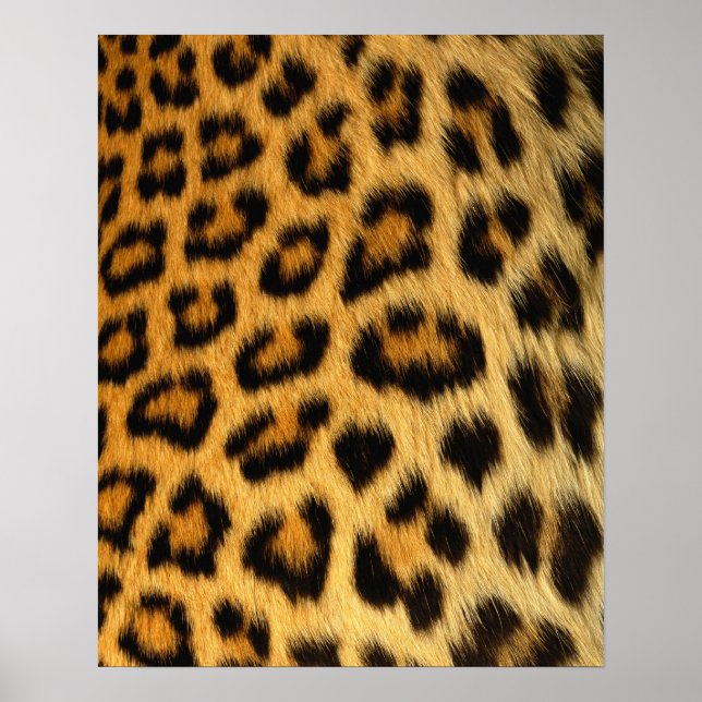 Impresión de leopardo (Frente)