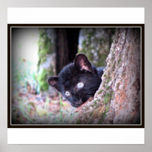 Impresión de leopardo negro joven