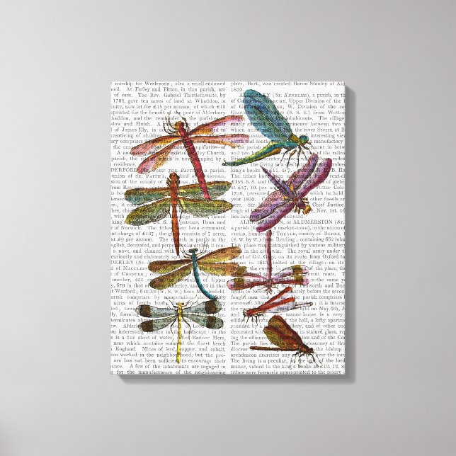 Impresión de libélula 4 (Anverso)