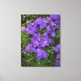 Impresión de lienzo Azalea púrpura