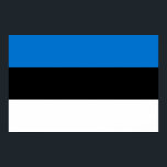 Impresión de lienzo con bandera de Estonia<br><div class="desc">¡Celebren el patrimonio estonio de manera audaz y artística con esta impresionante estampilla de lona que muestra la bandera de Estonia! Diseñado para combinar el orgullo cultural con la expresión artística, esta impresión de lona de alta calidad exhibe la icónica bandera estonia en vibrantes tonos azules, negros y blancos. La...</div>