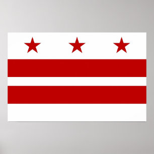 Impresión de lienzo con bandera de Washington DC,