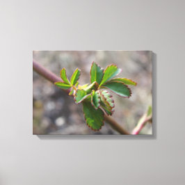 Impresión de lienzo con brote de flores.