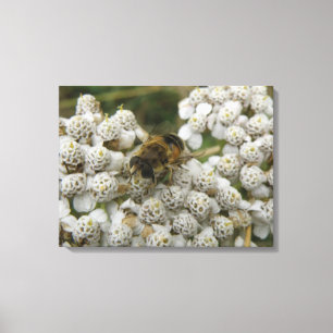 Impresión de lienzo de abejas y flores