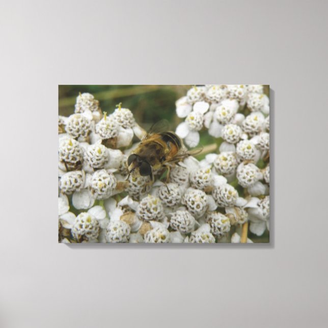 Impresión de lienzo de abejas y flores (Anverso)