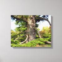 Impresión de lienzo de árbol del cedro del Líbano