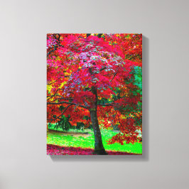 Impresión de lienzo de arce japonés