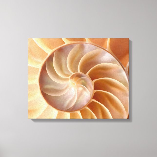 Impresión de lienzo de arte con caparazón Nautilus (Anverso)