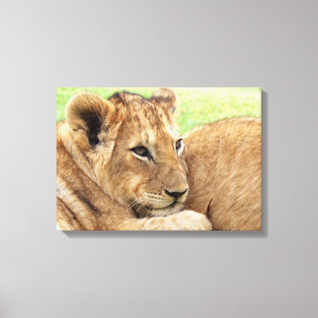 Impresión de lienzo de Baby Tiger (Anverso)