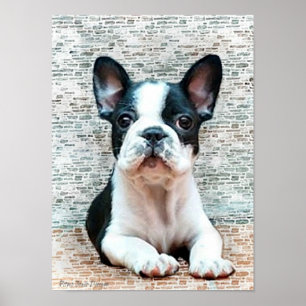 Impresión de lienzo de Bulldog francés