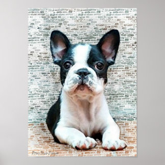 Impresión de lienzo de Bulldog francés