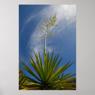 Impresión de lienzo de Cactus de Kalalau