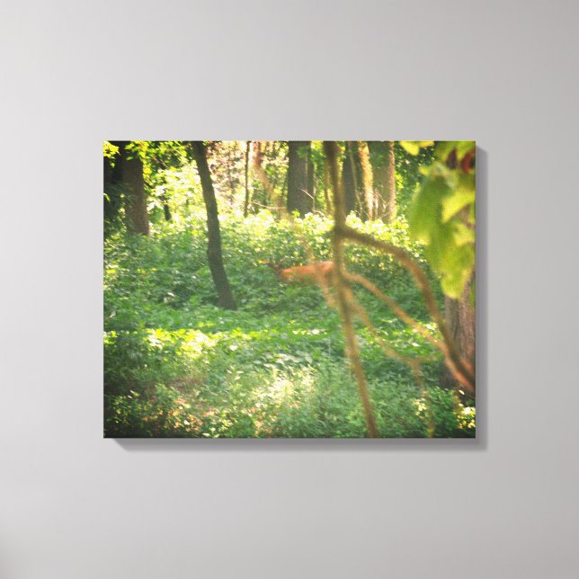 Impresión de lienzo de ciervo blanco (Anverso)