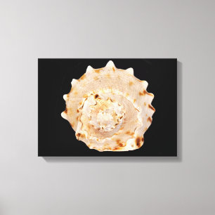 Impresión de lienzo de conchas