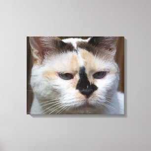 Impresión de lienzo de Cream Calico 20"x16"