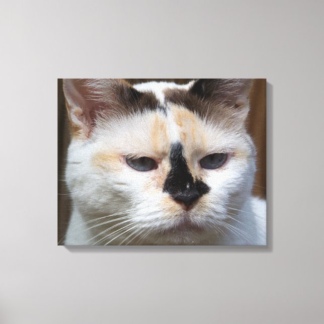 Impresión de lienzo de Cream Calico 20"x16" (Anverso)
