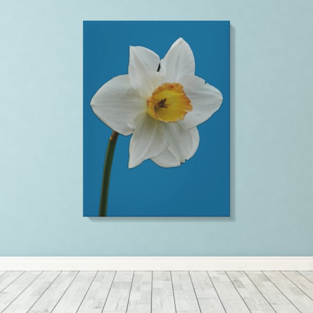 Impresión de lienzo de Daffodil (Insitu (piso de madera))