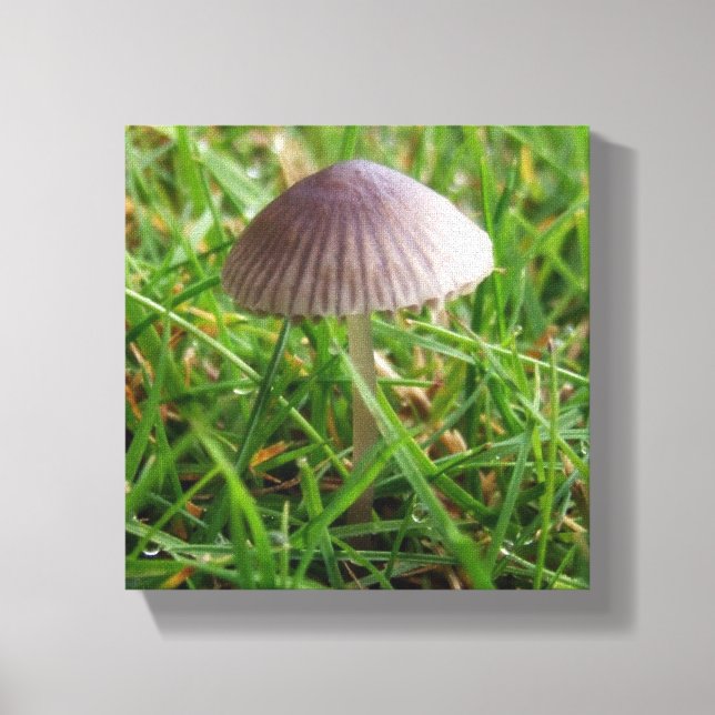 Impresión de lienzo de decoración de paredes de ho (Anverso)