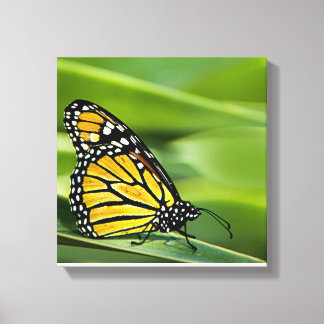 Impresión de lienzo de diseño de mariposa monarca