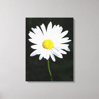 Impresión de lienzo de flor de margarita blanca