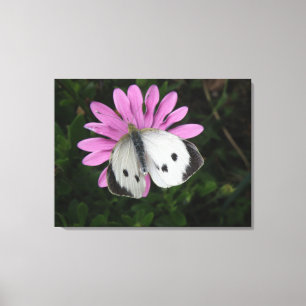 Impresión de lienzo de flor rosa y mariposa