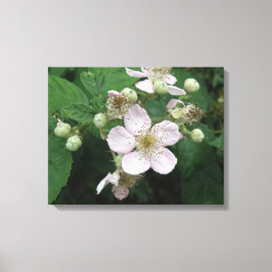 Impresión de lienzo de flores de Blackberry