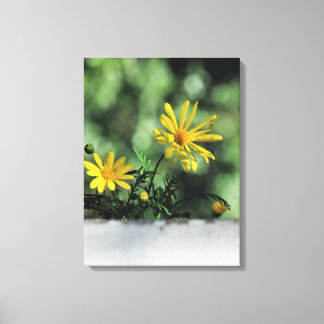 Impresión de lienzo de flores silvestres de Aster 