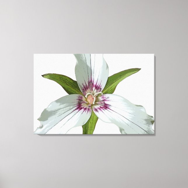 Impresión de lienzo de flores silvestres de trilli (Anverso)