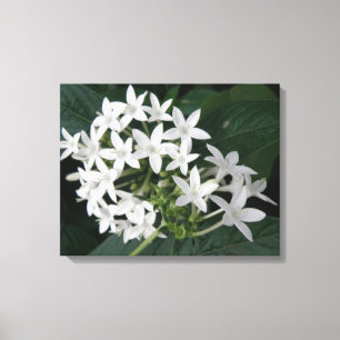 Impresión de lienzo de flores tropicales blancas