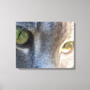 Impresión de lienzo de gatos grisáceos