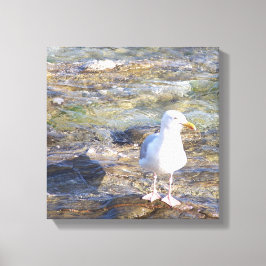 impresión de lienzo de gaviota