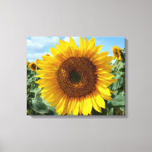 Impresión de lienzo de girasol
