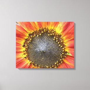 Impresión de lienzo de girasol rojo y amarillo