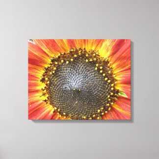 Impresión de lienzo de girasol rojo y amarillo