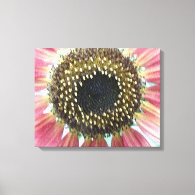 Impresión de lienzo de girasol rosado (Anverso)