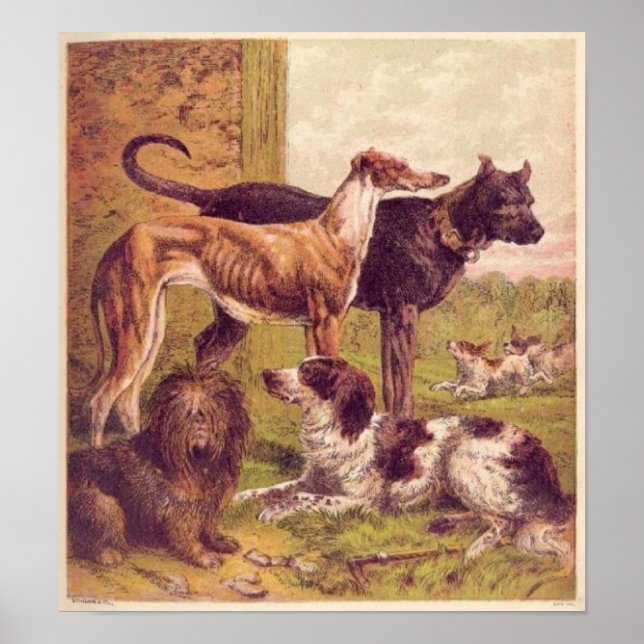 Impresión de lienzo de grupo de perros de pintura  (Frente)