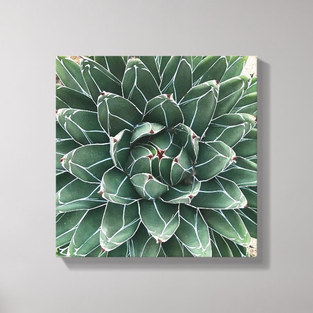 Impresión de lienzo de la Reina Victoria (Anverso)