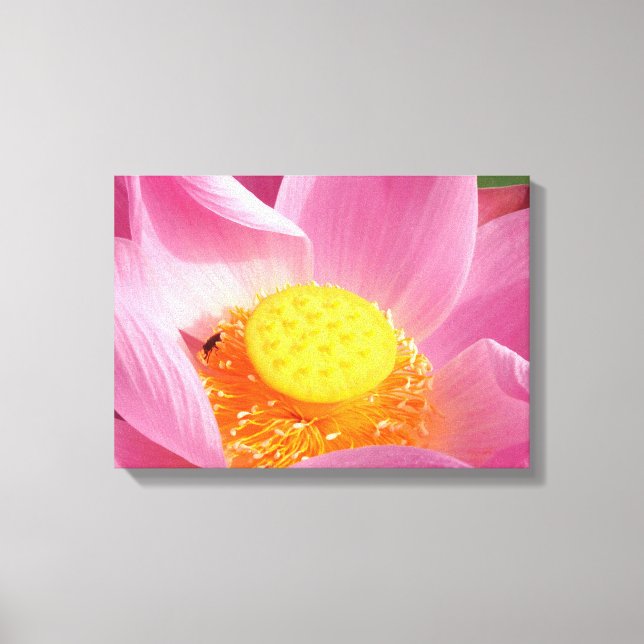 Impresión de lienzo de Lily (Anverso)