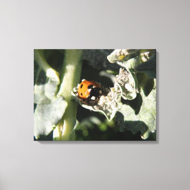 Impresión de lienzo de limbo 7 Spot británico (Anverso)