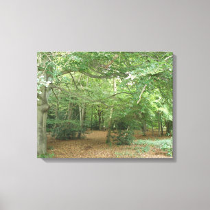 Impresión de lienzo de limpieza de bosques