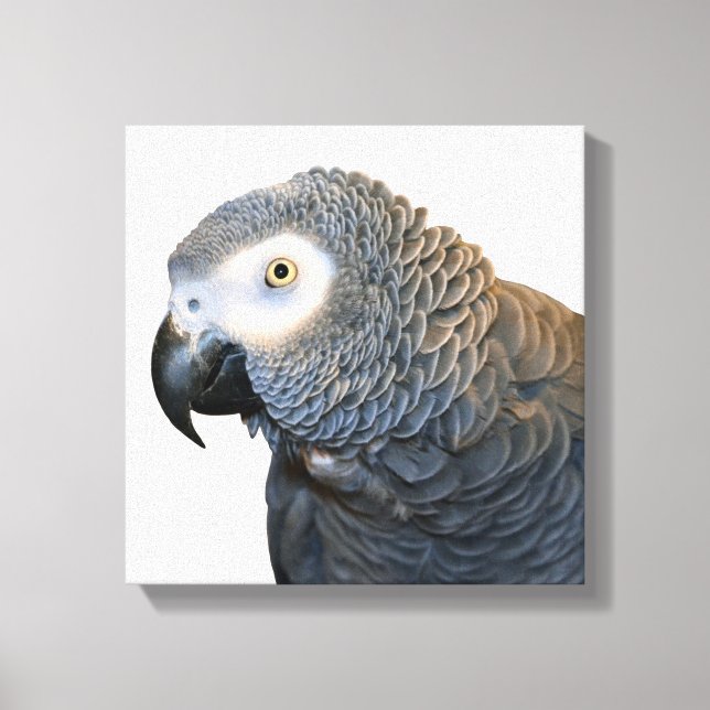 Impresión de lienzo de loro gris negro y blanco (Anverso)