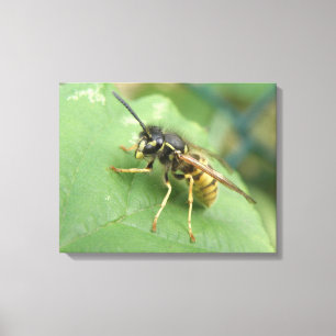 Impresión de lienzo de macros de sobrevuelo