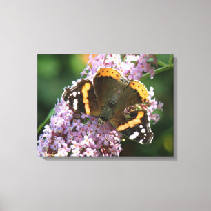 Impresión de lienzo de Mariposa y Buda del Almiran
