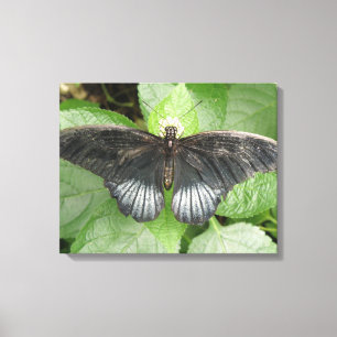 Impresión de lienzo de mariposa y flores tropicale