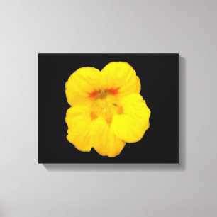 Impresión de lienzo de nasturtio amarillo brillant