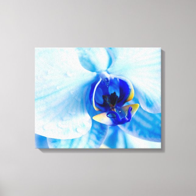 Impresión de lienzo de orquídea azul (Anverso)